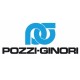 Logo Pozzi Ginori